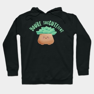 You’re a sucCUTElent - Funny Pun Hoodie